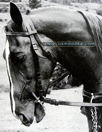 Kamerad Pferd, Wehrmacht horse