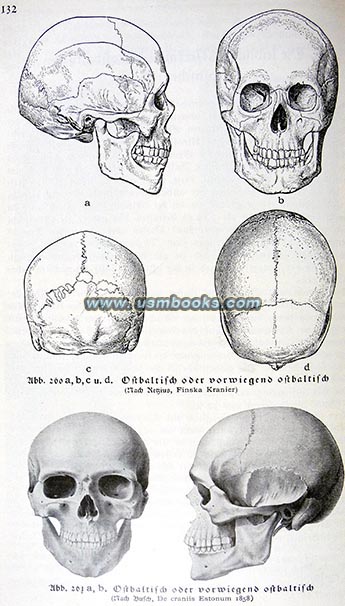 Nazi race research Asian skull measurements