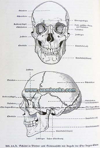 Nazi race research skull measurements