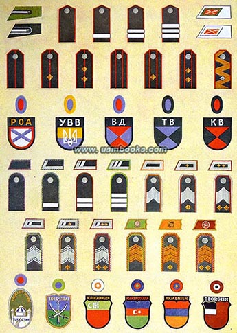 insignias of Waffen-SS volunteers from the Caucasus