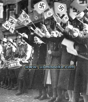 Swastika flags