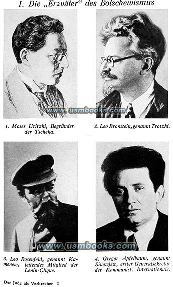 Leo Bronstein, Trotsky